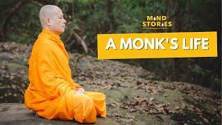 A monk's life | Documentary