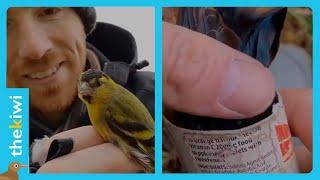 Man sparks controversy for putting birds in plastic tubes