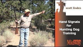 Hand Signals for Hunting Dog Training | Scott Linden