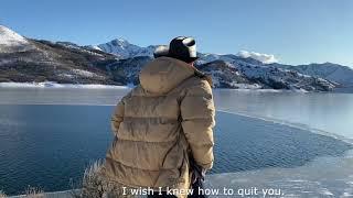 Brokeback Mountain -  I wish I knew how to quit you