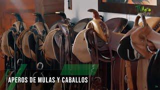 Los aperos de mulas y caballos - TvAgro por Juan Gonzalo Angel Restrepo