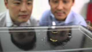 Jumping on Water: Robotic Water Strider