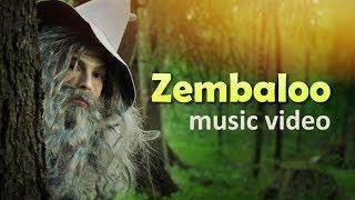 Zembaloo - Ilari Hylkilä (Official music video)