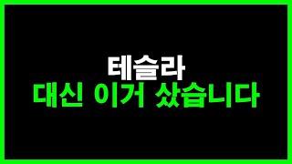 테슬라 대신 이거 샀습니다