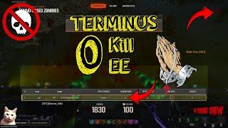 I beat the Terminus EE with 0 Kills