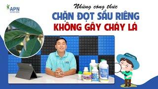 APN - NHỮNG CÔNG THỨC CHẶN ĐỌT KHÔNG GÂY CHÁY LÁ SẦU RIÊNG