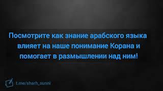 Как знание арабского влияет на  понимание Корана и помогает в размышлении над ним! Давуд Аш-Шинкыти