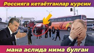 Ташкент Москва автобус катновлари | Узбекистан Россия автобус