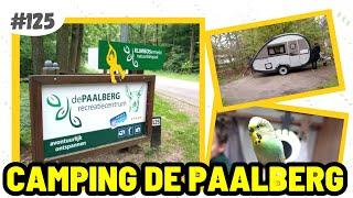 #125 GEARRIVEERD OP EEN PRACHTIGE BOSCAMPING I CAMPING DE PAALBERG