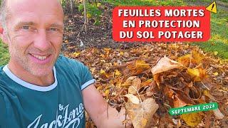 3 façons de valoriser vos feuilles mortes au potager - Vive l'automne...