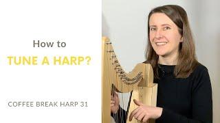 How to tune a harp? My tips and tricks! - Coffee Break Harp 31