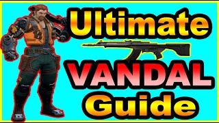 VALORANT VANDAL Guide