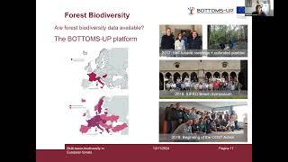 Multi-taxon approach for biodiversity conservation and management - Forest Restoration Talk