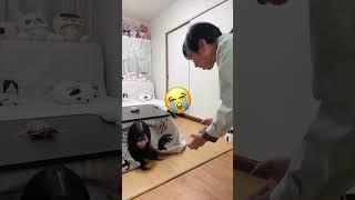こたつむり討伐大作戦っ！！②