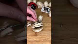 ASMR CHAMPIGNONS #food #cook #asmr #eat #cooking #satisfying #relax #calm #healthy #forest