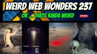 weird web wonders 237