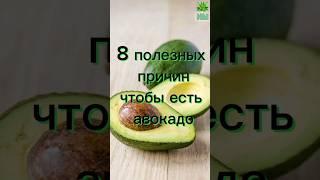 8 полезных причин чтобы есть авокадо #здоровье #полезныесоветы #народнаямедицина #авокадо