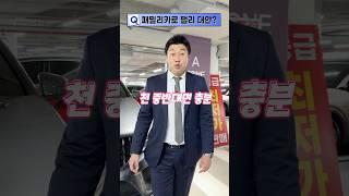 절반값에 '팰리세이드'를 대체하는 중고차!