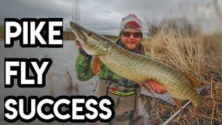 River Pike Fly Fishing In Winter - (EPIC Fly Weight Hack)