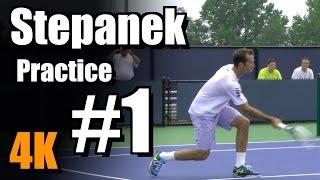 Radek Stepanek in 4k | Forehand and Backhand #1 | Western & Southern Open 2014