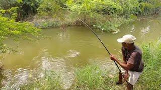 Amazing Catching big catfish