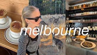 melbourne vlog | thrifting, eating good food & seeing kangoroos!!