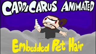 Caddicarus Animated: Embedded Pet Hair