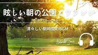 Natural Sonic「眩しい公園の朝とウクレレ」コンピレーション - 清々しい朝時間のBGM -