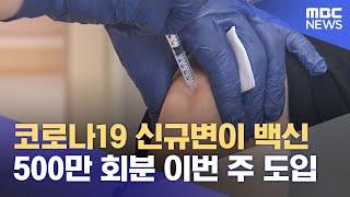 코로나19 신규변이 백신 500만 회분 이번 주 도입 (2024.09.09/12MBC뉴스)