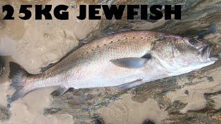 Spearing A 25KG Jewfish (Mulloway)