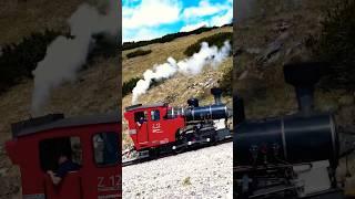 You won't believe where this train climbs ️ #alps #austria #mountains #train