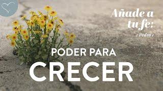 Poder para crecer | ANC Podcast