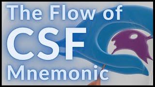 Flow of CSF - MADE EASY!!!