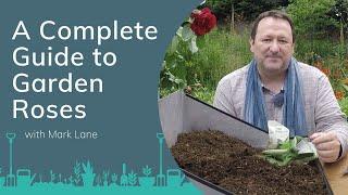 A Complete Guide to Garden Roses with Mark Lane | PrimroseTV