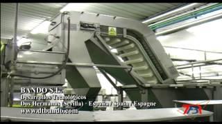 A CANNING LINE (OLIVES, VEGETABLES, ETC),  LINEA ENVASADO ACEITUNAS, ENCURTIDOS, CONSERVAS VEGETALES