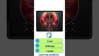  Kidney Facts: Can You See the Answers?#healthandwellness #health