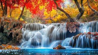 Music Sergey Chekalin, Collection of the most incredible melodies! Divine music touches the soul!