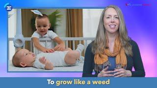 English in a Minute: Grow Like a Weed