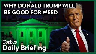 Why Donald Trump Will Be Good For Weed