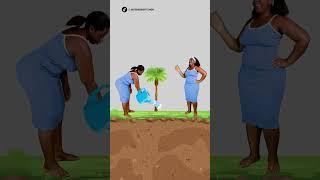 STOP Wasting Mangoes! You Won't Believe How Easy it is to Grow a Tree