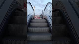 Rolltreppenauffahrt Haltestelle Staatsgalerie