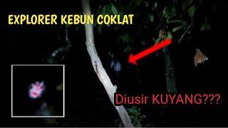  DIUSIR HANTU KEPALA⁉️ EXPLORER KEBUN COKLAT