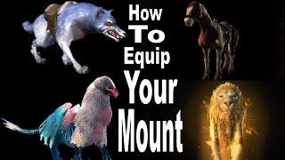 NEW Neverwinter Players How To Equip A Mount In Neverwinter
