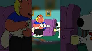 БРАЙН против КОШЕК В ДОМЕ  Гриффины смешные моменты - #сериал #грифины