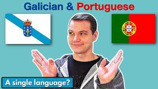 Galician vs Portuguese (How SIMILAR are they?)