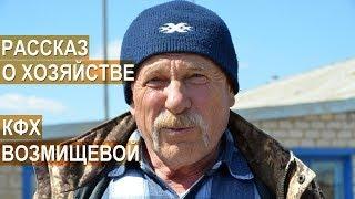 КФХ Возмищевой В.И. Основное направление - мясное коневодство. Рассказ о хозяйстве