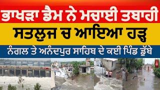 Bhakra dam flood | satluj river flood in nagal| anandpur sahib villages flood| flood again in nagal|