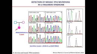 E02.1 From Li-Fraumeni syndrome to TP53-related inherited cancers