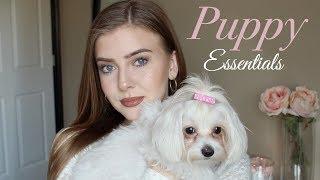 Maltese Puppy | Owning a Maltese Dog | Puppy Essentials