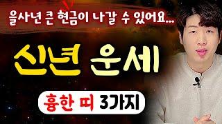 [신년 운세] 2025년 을사년 상반기에 운이 불리한 띠 3가지!! 무조건 "이것" 조심하세요